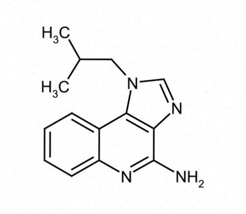 Imiquimod crema generico