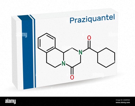 praziquantel