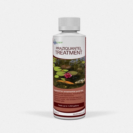 Praziquantel