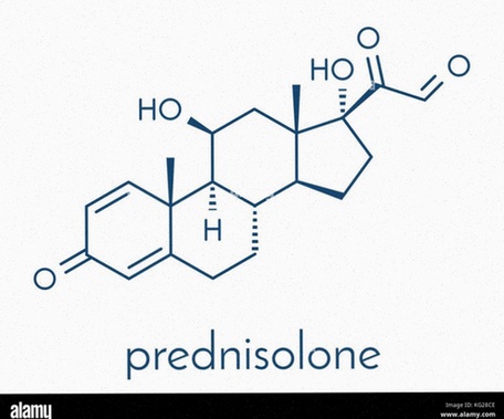 prednisolone generico